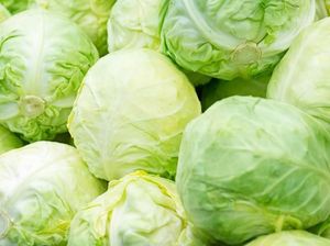 Kenyal Segar Jelly Rasa Kubis Bisa Jadi Pengganti Sayuran