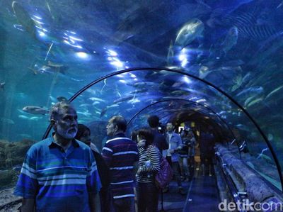 Seaworld Destinasi Wisata Favorit Warga Jakarta