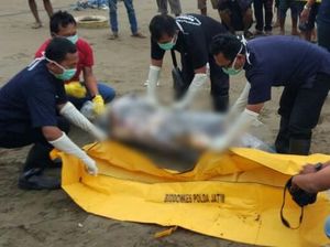 Dua Wisatawan yang Tergulung Ombak Pantai di Tulungagung Ditemukan Dua Wisatawan yang Tergulung Ombak Pantai di Tulungagung Ditemukan