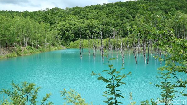 Foto: Inikah Kolam Biru Alami Paling Cantik di Jepang?