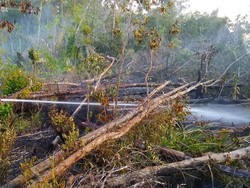 Cegah Kebakaran Hutan Jelang Kemarau, KLHK Lakukan Pemadaman Awal