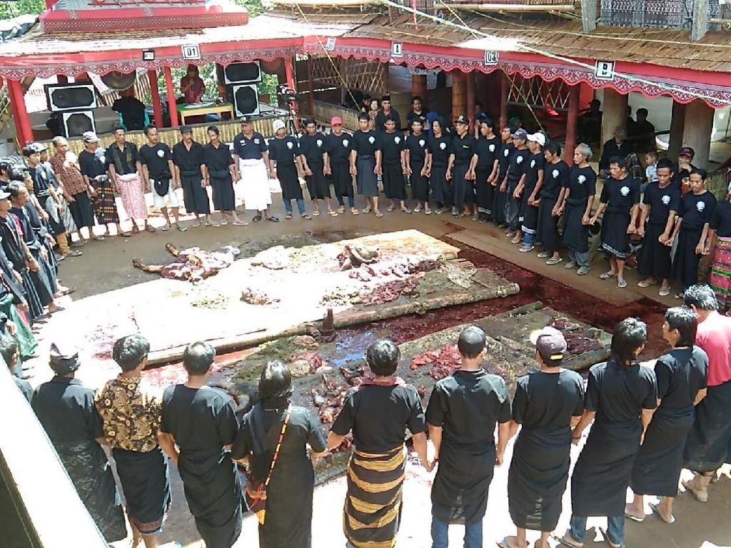 Upacara Adat Rambu Solo: Makna di Balik Ritual Pemakaman Unik dari Toraja Upacara Adat Rambu Solo: Makna di Balik Ritual Pemakaman Unik dari Toraja