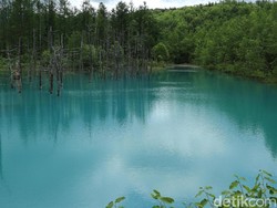 Tersihir Kolam Biru dan Taman Bunganya Hokkaido