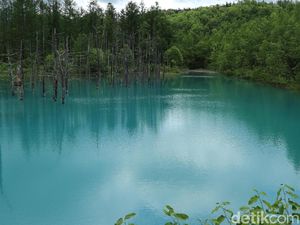 Tersihir Kolam Biru dan Taman Bunganya Hokkaido Tersihir Kolam Biru dan Taman Bunganya Hokkaido