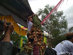 Ribuan Warga Trenggalek Berebut Gunungan Ketupat