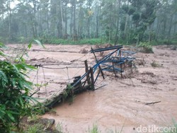 Banjir Bandang di Banyuwangi, Rusak Sawah dan Destinasi Wisata