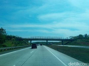 Anti-Mainstream! Arief Mudik dari Bekasi ke Purwokerto Via Pemalang