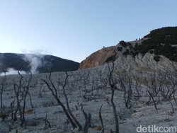 Masih di Libur Lebaran, Naik Gunung Papandayan Yuk!