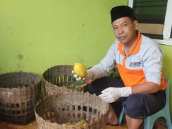 Carica dari Dieng Paling Diburu Pemudik untuk Oleh-oleh