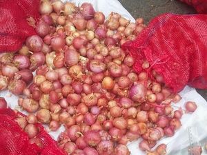 Harusnya Rp 7.000/Kg, Bawang Merah Palsu Dijual Rp 25.000/Kg Harusnya Rp 7.000/Kg, Bawang Merah Palsu Dijual Rp 25.000/Kg
