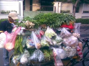 Masak Apa Hari Ini : Sayur Nangka Merah dan Orak-Arik Peda Masak Apa Hari Ini : Sayur Nangka Merah dan Orak-Arik Peda