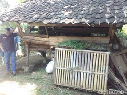 Istri Tak Menyangka Temukan Jasad Dadan Tertancap Golok