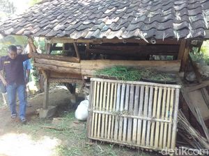 Tim Gabungan Usut Kasus Korban Tewas Tertancap Golok di Dada Tim Gabungan Usut Kasus Korban Tewas Tertancap Golok di Dada