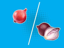 Begini Nih Perbedaan Bawang Merah Palsu dan yang Asli