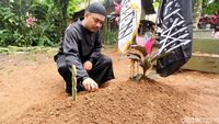Jenazah Hari Moekti Dimakamkan