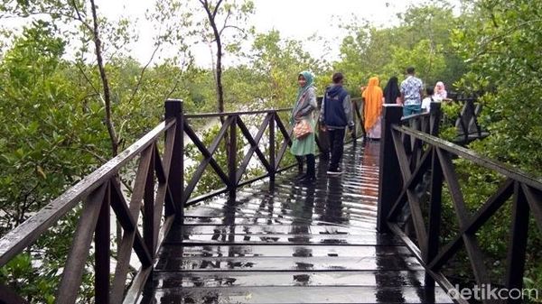 Habis Mencoblos di Sumut, Ayo Liburan ke Langsa!
