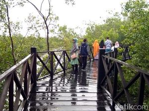 Habis Mencoblos di Sumut, Ayo Liburan ke Langsa!