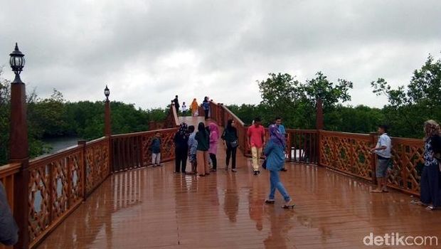 Hutan Mangrove yang Sedang Naik Daun di Langsa