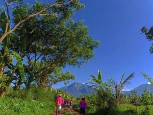 Mengenang Keseruan Ijen Green Run 2018 Mengenang Keseruan Ijen Green Run 2018