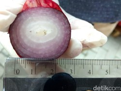 Polri Gagalkan Penyelundupan 25 Kontainer Bawang Merah Palsu di Medan