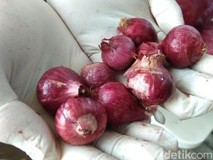Kronologi Bawang Merah Palsu Asal India Sampai di Medan Kronologi Bawang Merah Palsu Asal India Sampai di Medan
