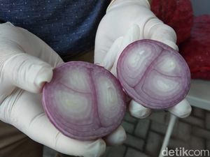 Jual Bawang Merah Palsu, Importir Dapat Berapa? Jual Bawang Merah Palsu, Importir Dapat Berapa?