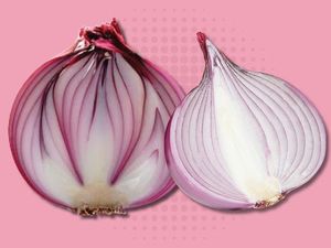 Bawang Palsu Rugikan Petani Rp 5,8 Triliun Bawang Palsu Rugikan Petani Rp 5,8 Triliun