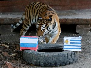 Uruguay vs Rusia: Status Juara Grup dan Calon Lawan di 16 Besar
