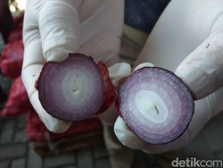 Bawang Merah Palsu Murah di India, Masuk RI Jadi Mahal