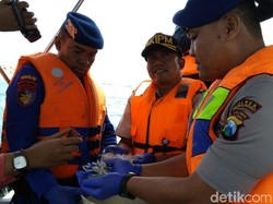 Puluhan Ribu Ekor Baby Lobster Senilai Rp 2 Miliar Dilepasliarkan
