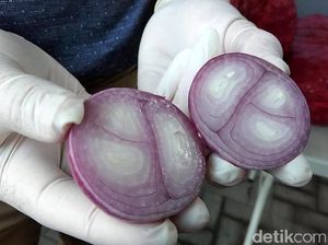 Penampakan Bawang Merah Palsu vs Asli Penampakan Bawang Merah Palsu vs Asli