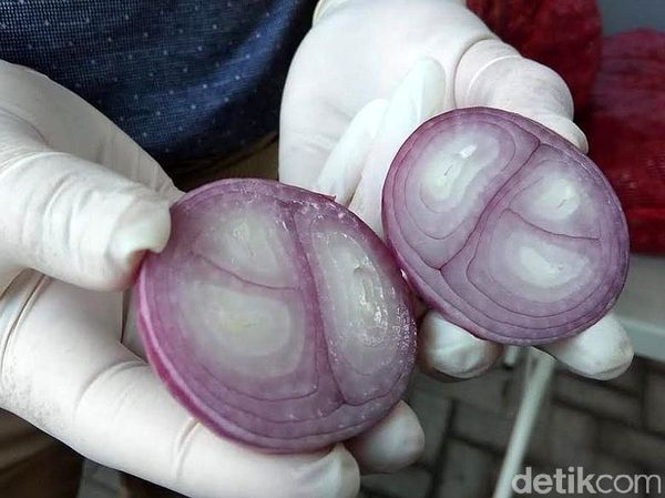 Penampakan Bawang Merah Palsu vs Asli