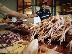 Stabilkan Harga, Pemkot Surabaya Gelar Operasi Daging Ayam Murah