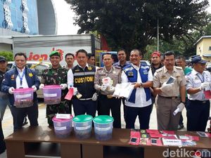 Polisi Ungkap Penyelundupan Lobster yang Libatkan Petugas Maskapai Polisi Ungkap Penyelundupan Lobster yang Libatkan Petugas Maskapai