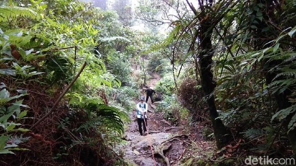 Habis Nyoblos, Langsung Naik ke Gunung Salak