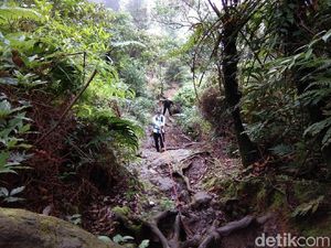 Habis Nyoblos, Langsung Naik ke Gunung Salak