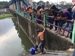 Diburu Warga di Sungai Brantas, Ikan Arapaima Dijual Rp 20 Ribu/Kg