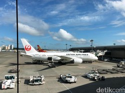 Wisata Jepang Mulai Terimbas Larangan China