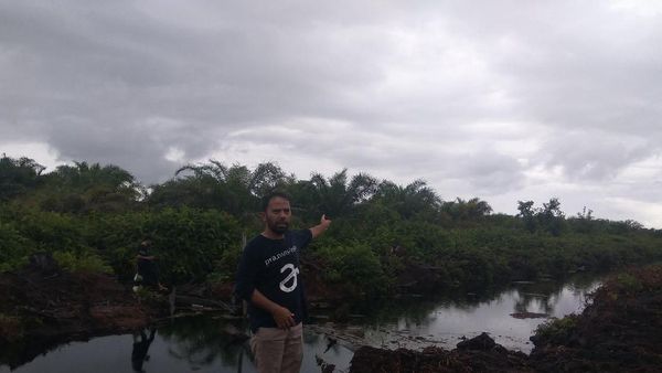 Foto: Lahan Kallista Si Pembakar Hutan yang Dihukum Rp 366 Miliar