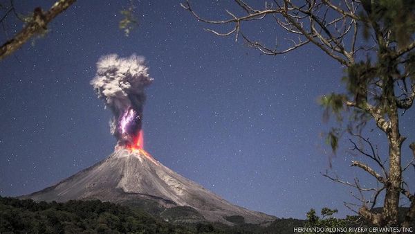 Karya Memukau Jawara Kontes Foto Nature Conservancy 2018