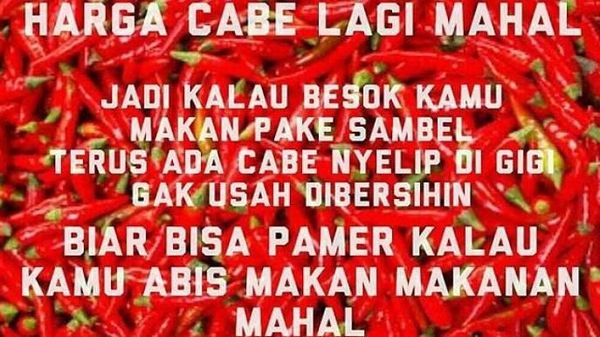 Pedas! 10 Meme Sambal Ini Bisa Bikin Kamu Baper Sampai Ngakak