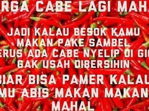 Pedas! 10 Meme Sambal Ini Bisa Bikin Kamu Baper Sampai Ngakak