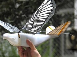 China Kerahkan Drone Berbentuk Burung Awasi Penduduk