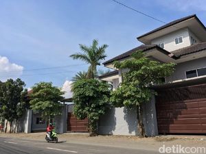 Ini Tempat Diduga Ikan Arapaima Dipelihara Sebelum Dilepas ke Brantas