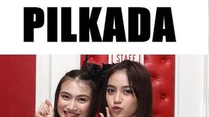Deretan Meme Jelang Pilkada yang Bikin Terhibur