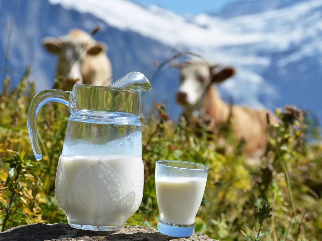 Pabrik Susu Ramah Lingkungan Ini Beroperasi dari Kotoran Sapi Pabrik Susu Ramah Lingkungan Ini Beroperasi dari Kotoran Sapi