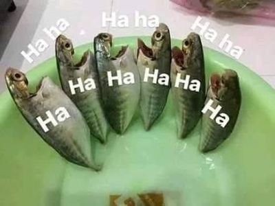 Kocak! 8 Meme Ikan Goreng Ini Bikin Ngakak, Ada yang Masak Pakai Helm