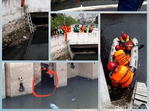 Buaya Ngumpet di Jembatan Grogol Masih Anak, Induknya Dicari