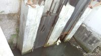 Aksi Petugas Pancing Buaya yang Ngumpet di Kali Grogol Pakai Ayam