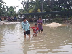 Di TPS yang Kebanjiran, Walkot Pekanbaru Gagal Jadi Gubernur